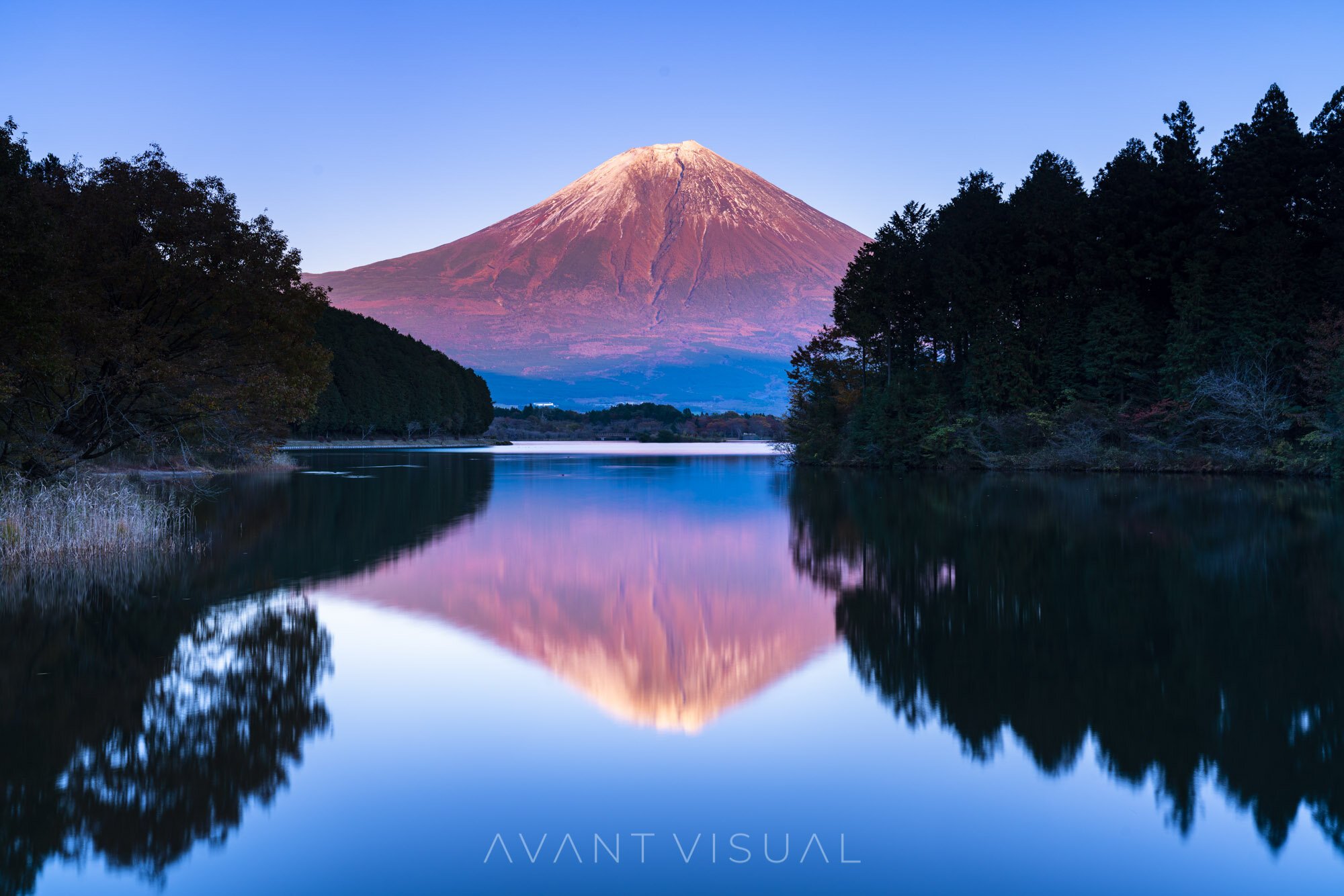 🐾 개바위 (이누이와) 이미지 5